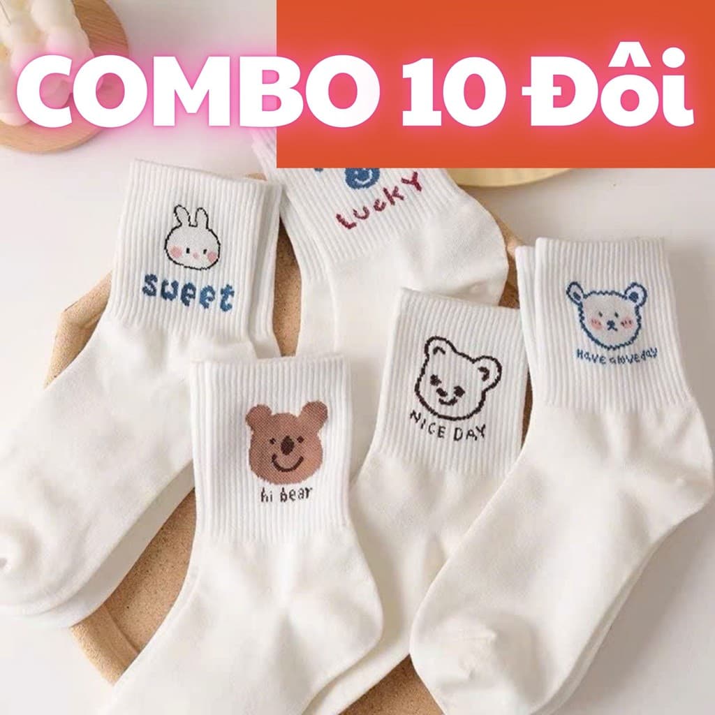 Combo 10 Đôi Tất Unisex Cao Cổ Lucky, Vớ Contton Thoáng Khí Kháng Khuẩn ZepXinh.Store