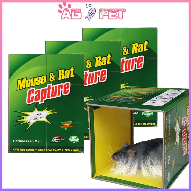 Keo XỊN,Keo dính chuột Siêu Dính (có mồi), Miếng keo dán chuột , Miếng bẫy chuột