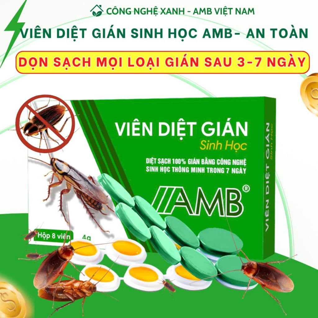Thuốc diệt gián sinh học AMB, Viện Hàn lâm khoa học Việt Nam, diệt tận gốc tất cả các loại gián, hiệu quả, an toàn.