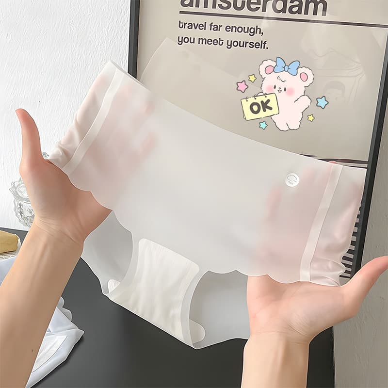 Combo 5-  10 Quần Lót Nữ Tàng Hình - Giải Pháp Cho Mọi Trang Phục